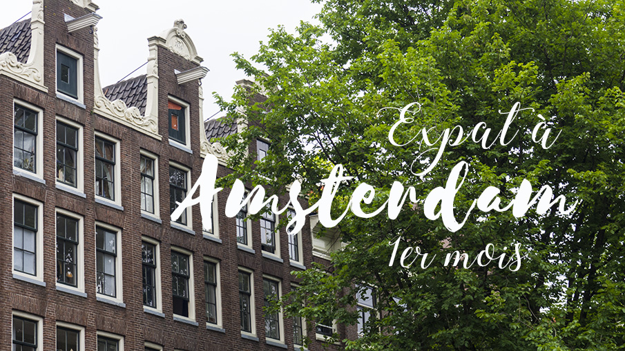 Bilan de mon premier d'expatriation à Amsterdam - Let' Em Go, blog voyage