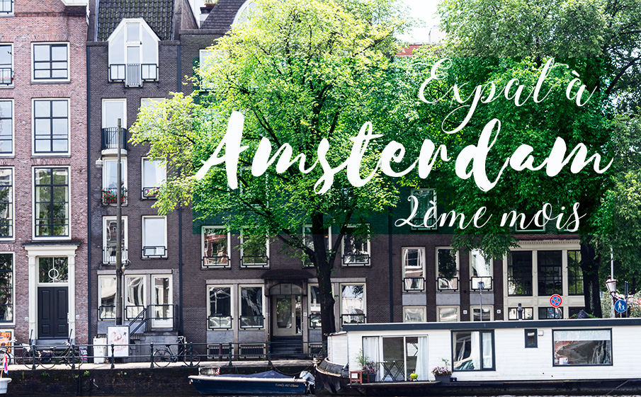 Bilan d'une expatriation à Amsterdam : 2ème mois